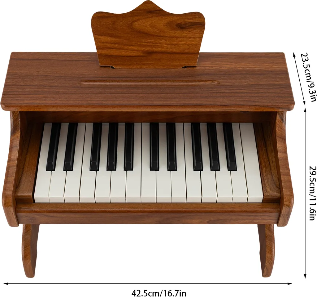 Apprendre le piano facilement : Modèle bois 25 touches pour débutant