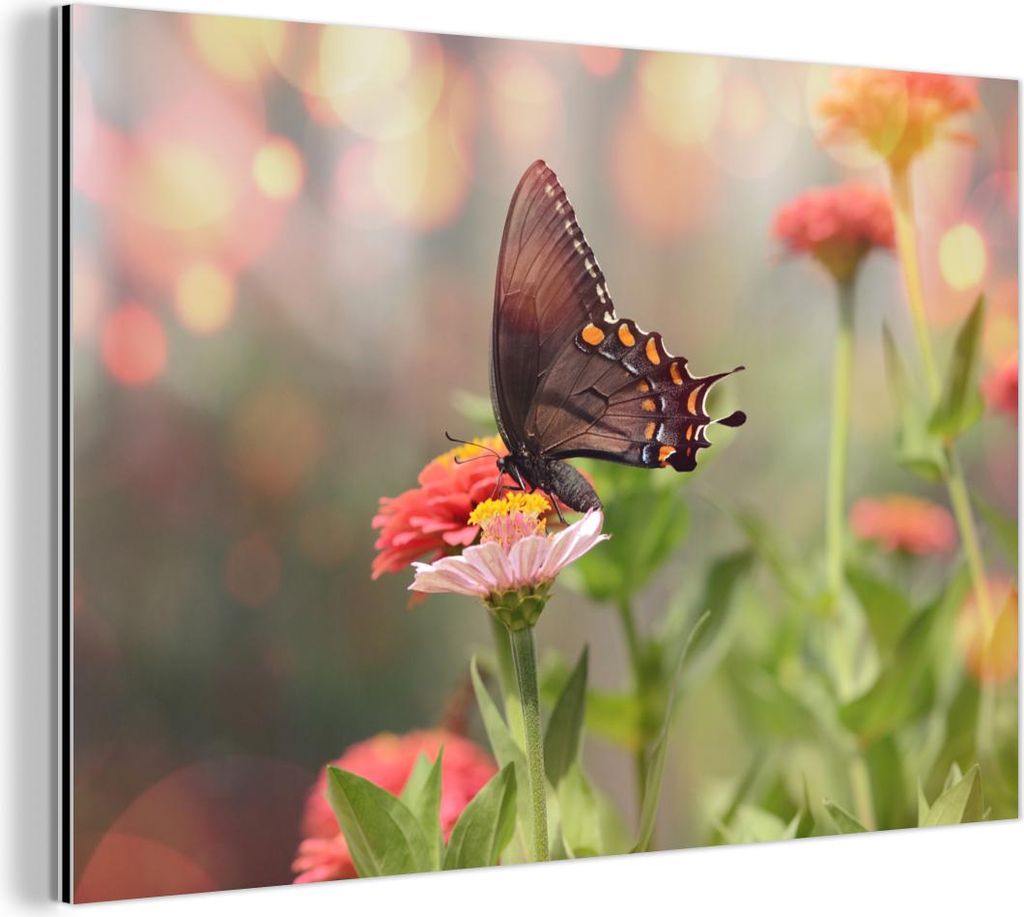 MuchoWow Wanddekoration Metall Metallbild Wandkunst 60x40 cm Blumen - Schmetterling - Natur - Blume MuchoWow Aluminium Gemälde - Gemälder