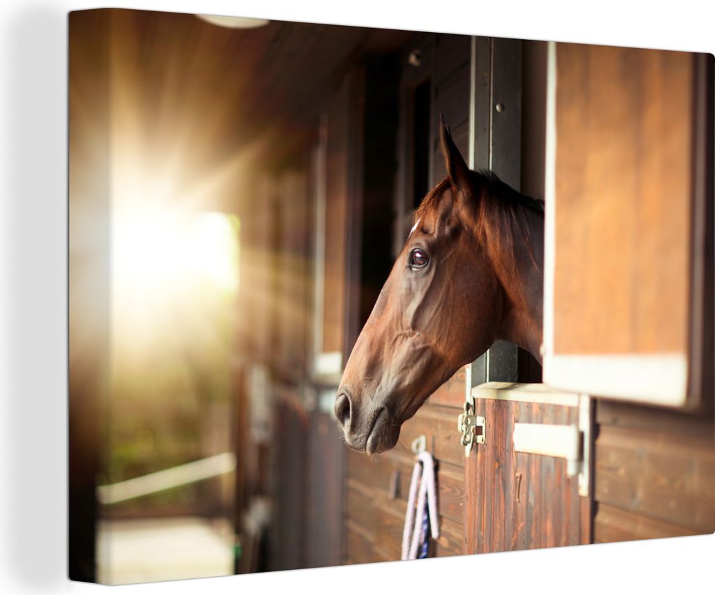 OneMillionCanvasses - Leinwandbilder - 140x90 cm, Pferd - Stall - Sonne, Wandbilder Kunstdruck Wanddekoration - Foto auf Leinwand - Gemälde auf ...