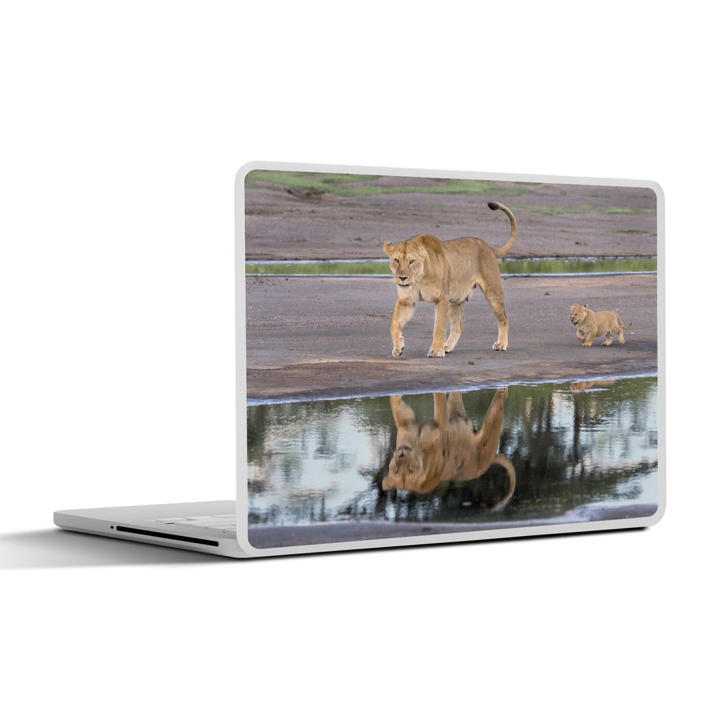 MuchoWow Laptop Aufkleber Sticker Cover Löwe - Wasser - Spiegelung - Junglöwe 32.5x23.5 cm - Sticker für Laptop - Selbstklebend