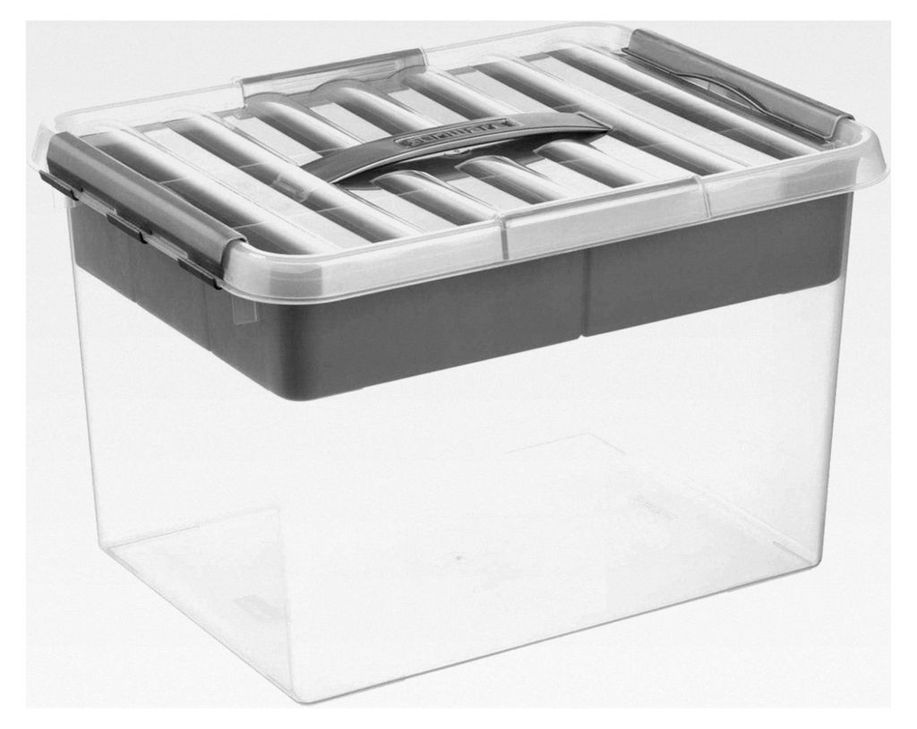 Sunware Q-line Aufbewahrungsbox mit Fächern 22L - 40x30x26cm - Box mit Fächern und Deckel - transparentes Metall