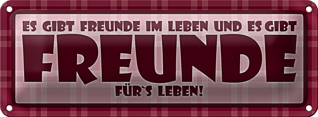 Blechschild Spruch 27x10cm Es gibt Freunde im Leben Dekoration