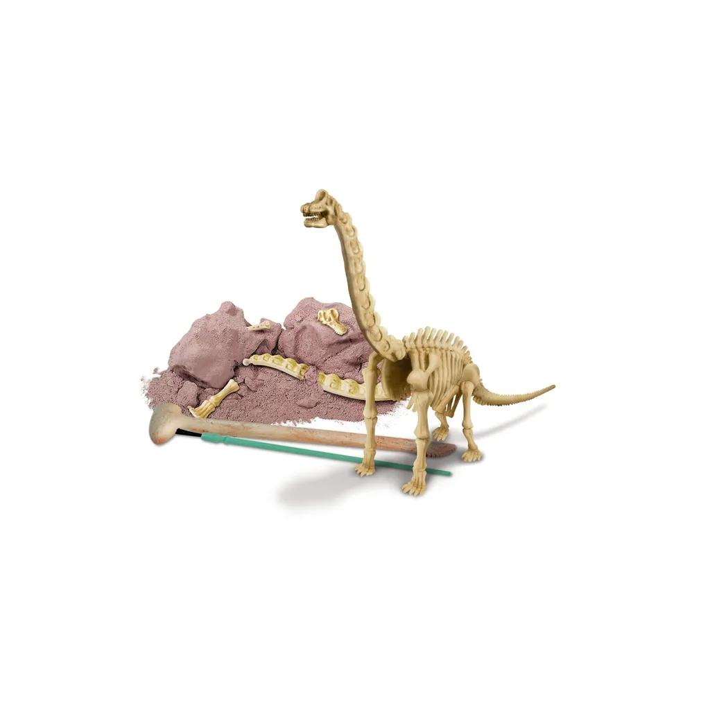 Jeu Éducatif Squelette de Brachiosaurus à Construire - Kit Scientifique - 3