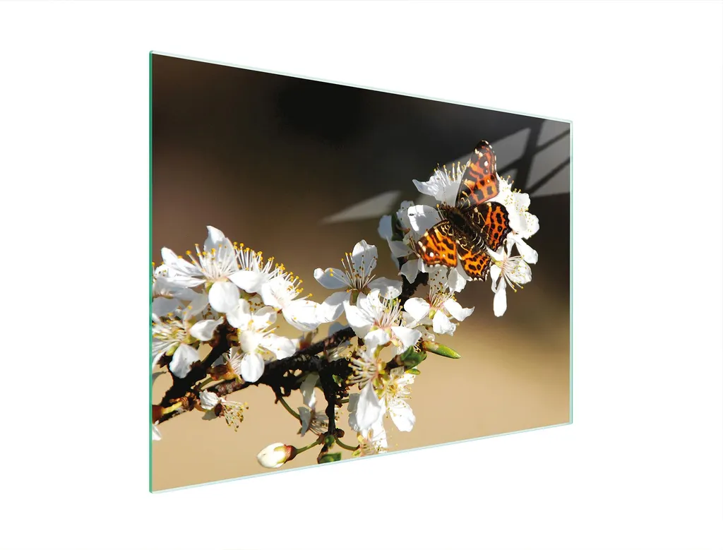Tagliere Multiuso in Vetro 30x22 cm - Copriforno Prugna e Farfalla