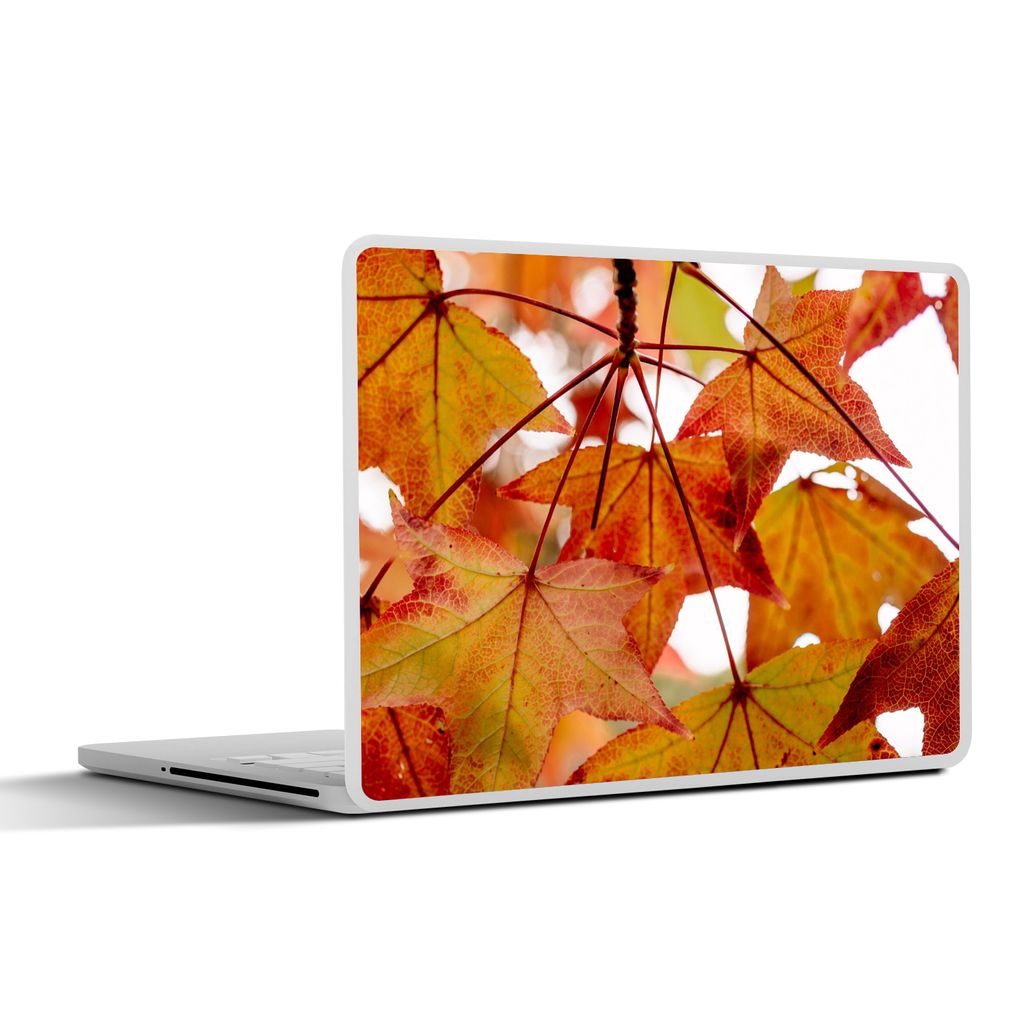 MuchoWow Laptop Aufkleber Sticker Cover Herbstzweige - Blätter - Jahreszeiten - Landleben 30x21 cm - Sticker für Laptop - Selbstklebend
