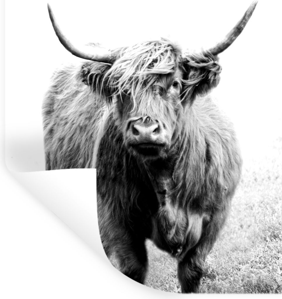 MuchoWow Wandtattoo Wandsticker Wandaufkleber Ein schottischer Highlander - schwarz und weiß 60x90 cm Selbstklebend und Repositionierbar - Stick...