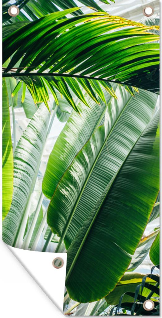 MuchoWow 30x60 cm Outdoor-Poster Gartendeko Sichtschutz Garten Poster für den Garten Sonnenstrahlen leuchten auf Palmenblättern in einem botan...