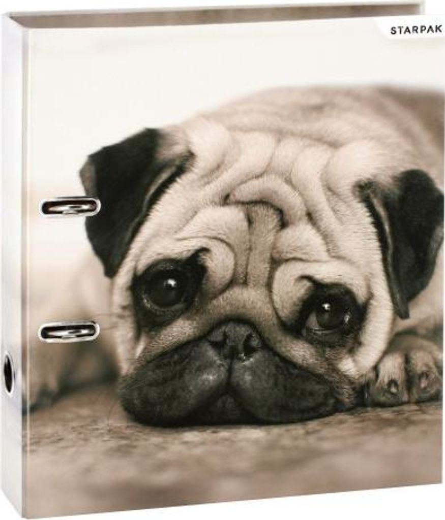 Starpak Dog A4 Hunde-Ordner Produktbild 