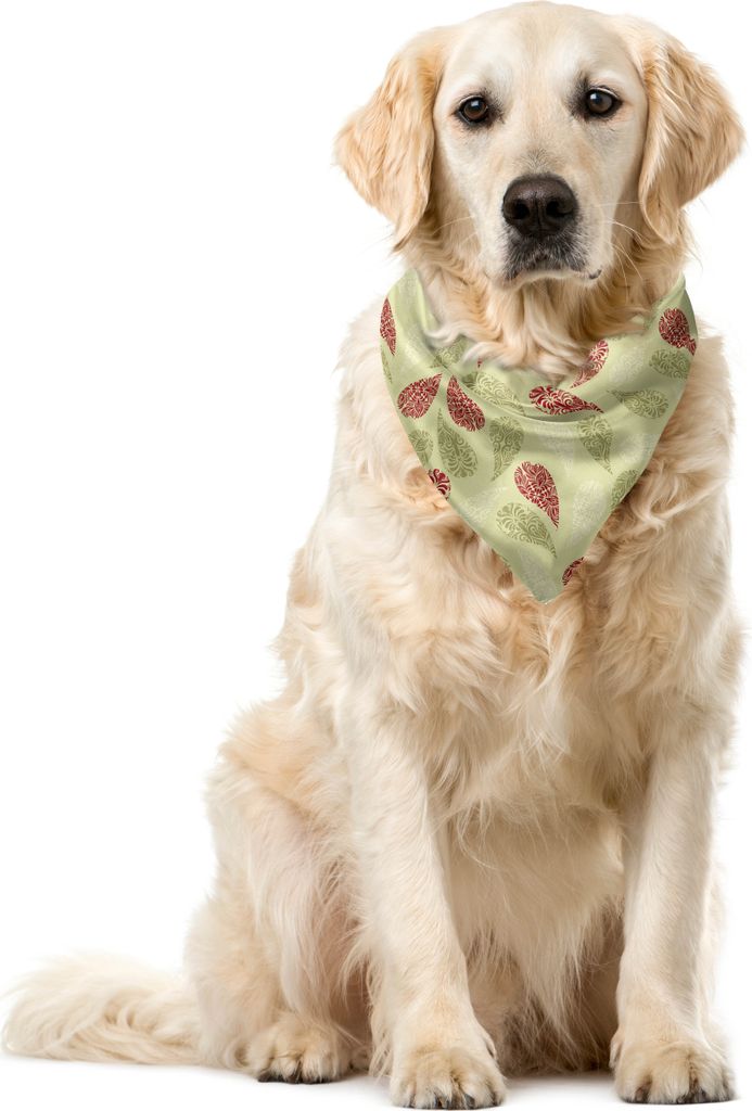 ABAKUHAUS Paisley Haustier Bandana, Blumenblatt-Muster, 40x40 cm, Rot und Hellgrün