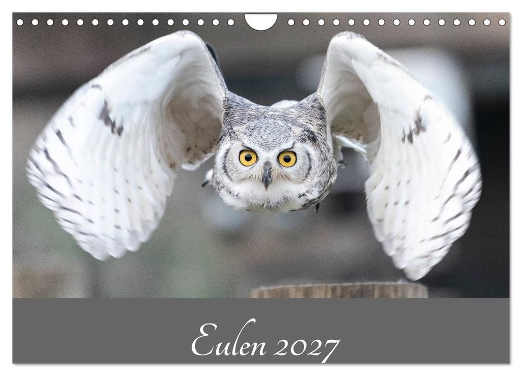 Eulen 2027 (Wandkalender 2027 DIN A4 quer), CALVENDO Monatskalender