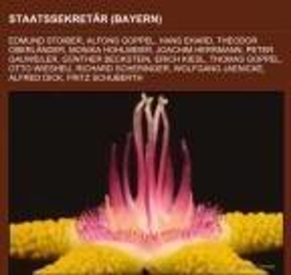 Staatssekretär (Bayern)