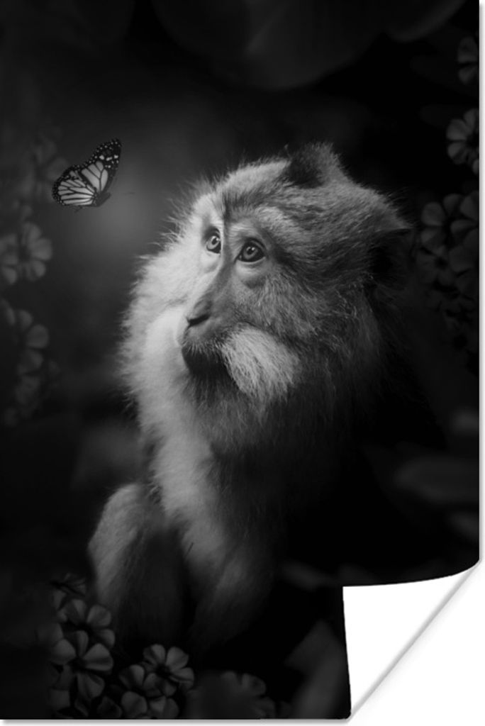 MuchoWow Poster Porträt von einem Affen und einem Schmetterling im Dschungel - schwarz und weiß 60x90 cm - Wanddekoration