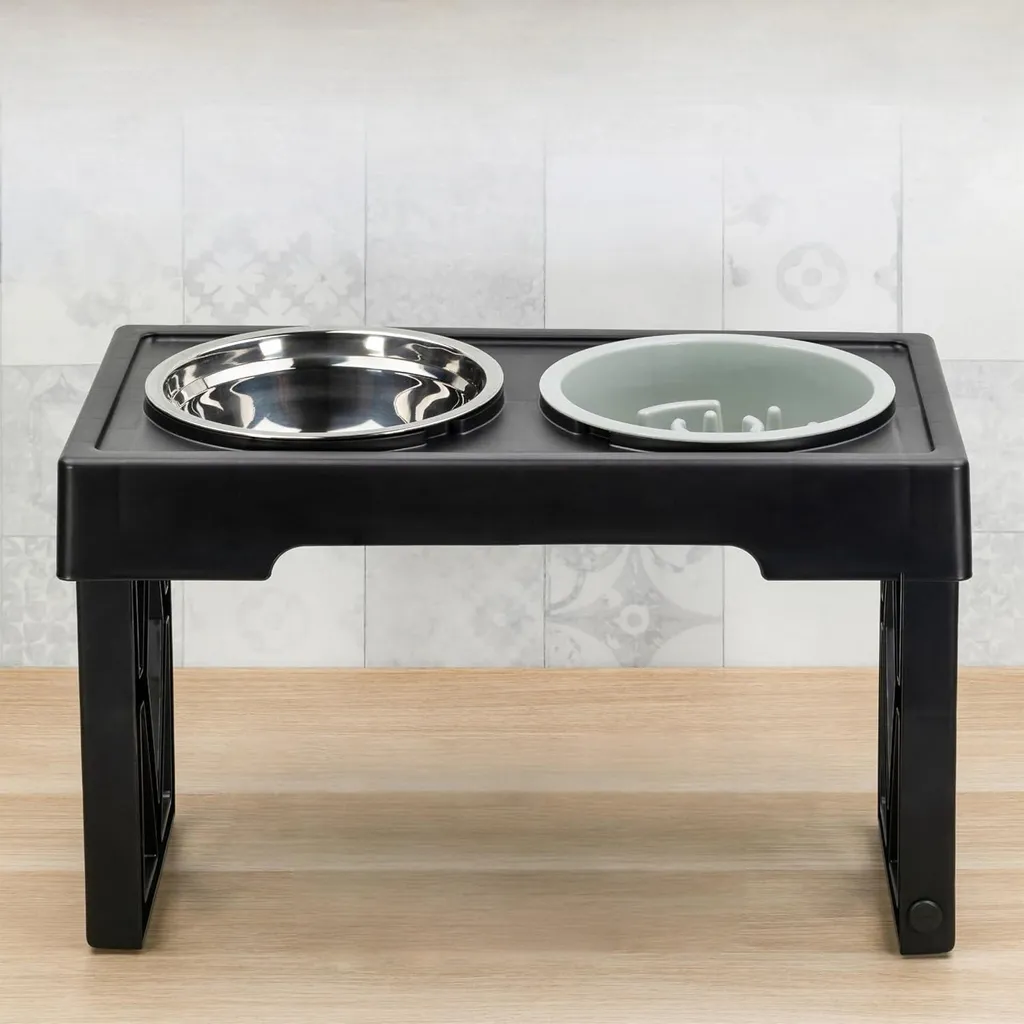 Set de gamelles pour chien ajustable idéal pour confort et digestion