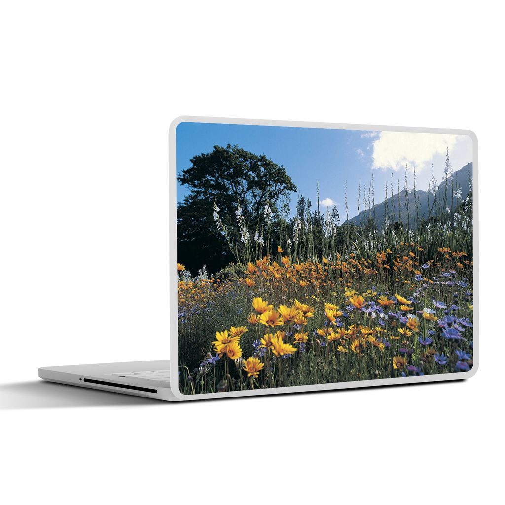 MuchoWow Laptop Aufkleber Sticker Cover Blumen - Natur - Farbe 36.5x27.5 cm - Laptop-Sticker