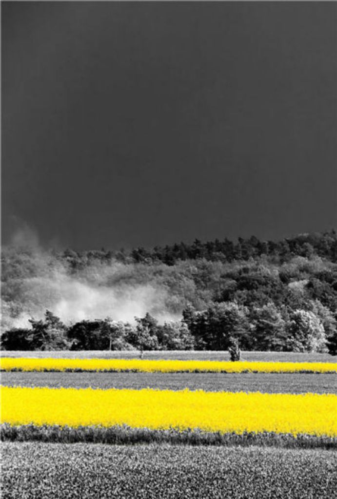 TPFLiving Kunstdruck LW-05 (OHNE RAHMEN) Poster - Leinwand - Wandbild - Hochauflösender Giclée-Druck, langlebig und hochwertig - Landschaften und...