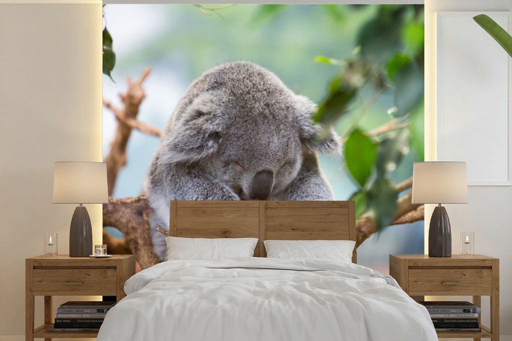 MuchoWow Fototapete für Wohnzimmer oder Schlafzimmer Wandtapete Vinyl Motivtapete Koala - Äste - Schlaf - Kinder - Jungen - Mädchen - 300x300 ...