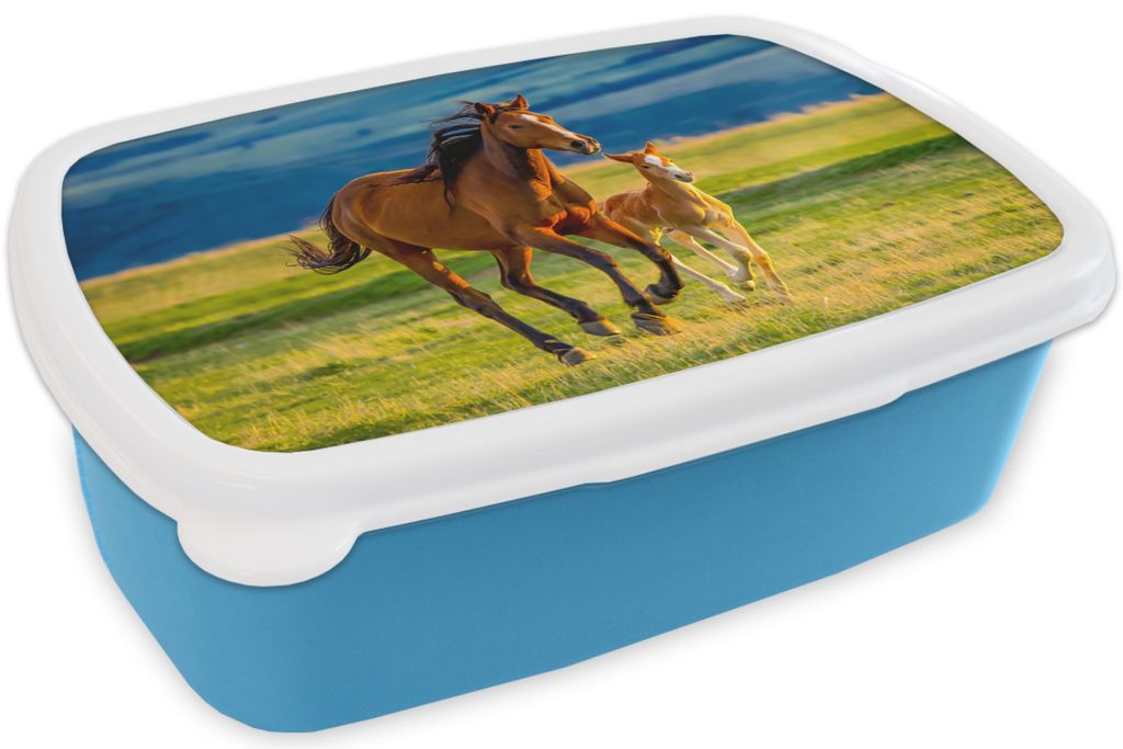 KitchenYeah Lunchbox Brotzeit Brotdose 17x11 cm Pferde - Gras - Tiere - Landschaft - Natur Kinder Brotzeitdose - Lunch - Kunststoff - Brotbüchs...