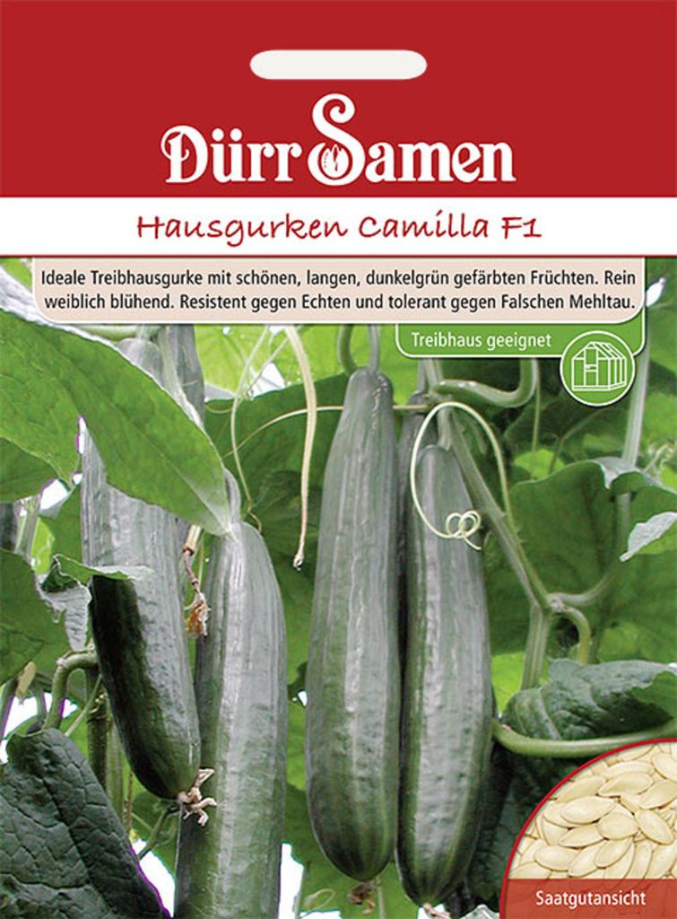 Dürr-Samen - Hausgurken Camilla F1 - Saatgut - 1112 Produktbild 