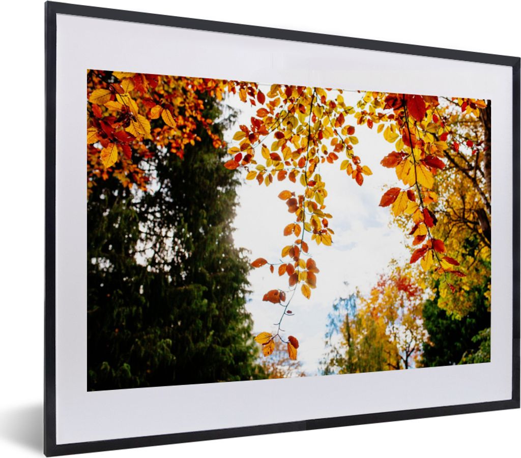 MuchoWow Gerahmtes Poster Herbst - Laub - Natur 40x30 cm - Poster mit Schwarzem Bilderrahmen Wandposter Rahmen Foto Bilder - Bilderrahmen - Poste...