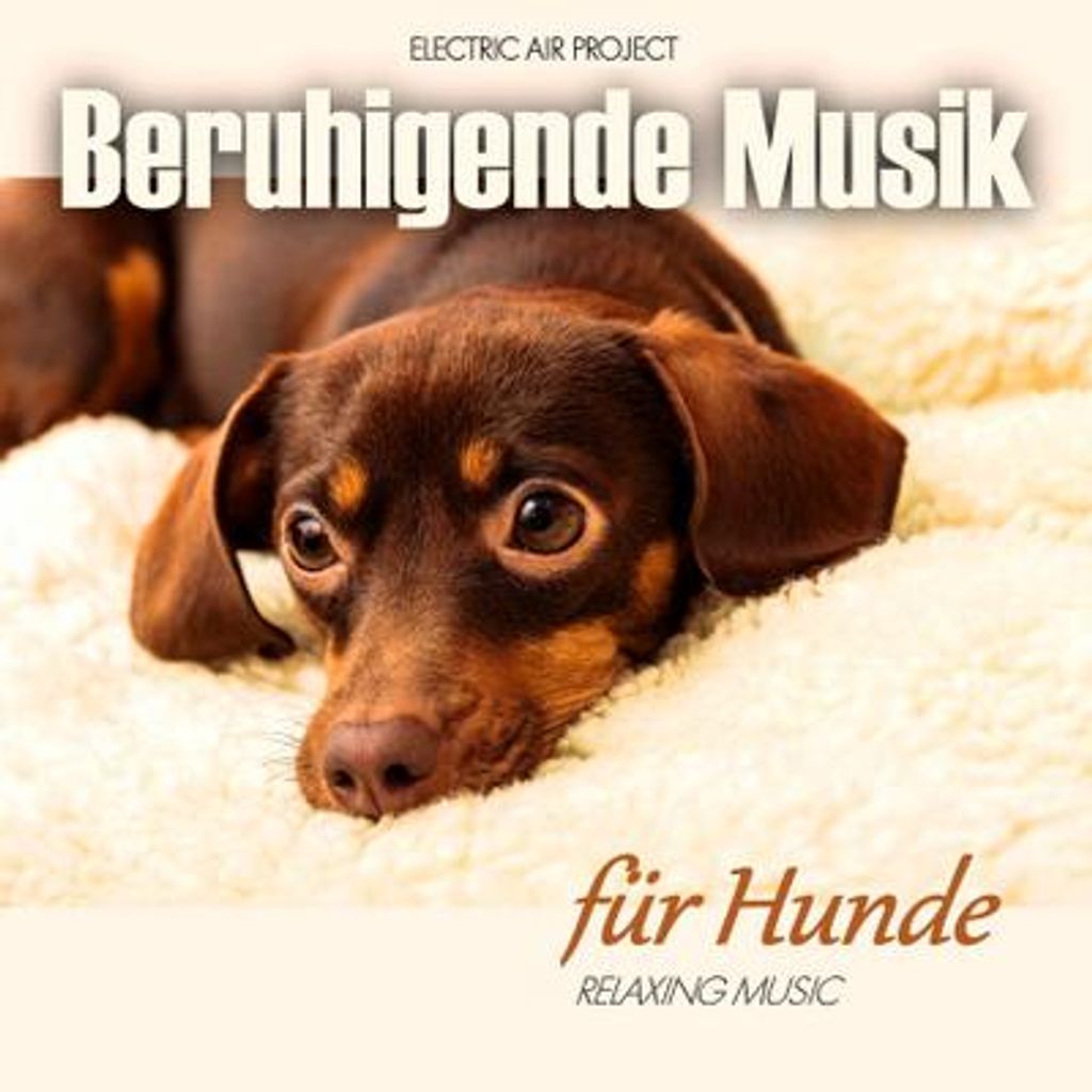 Beruhigende Musik Für Hunde Produktbild 