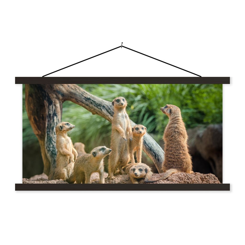 MuchoWow Textilposter Familie - Tiere - Erdmännchen 60x30 cm mit schwarzem Rahmen - Textilien