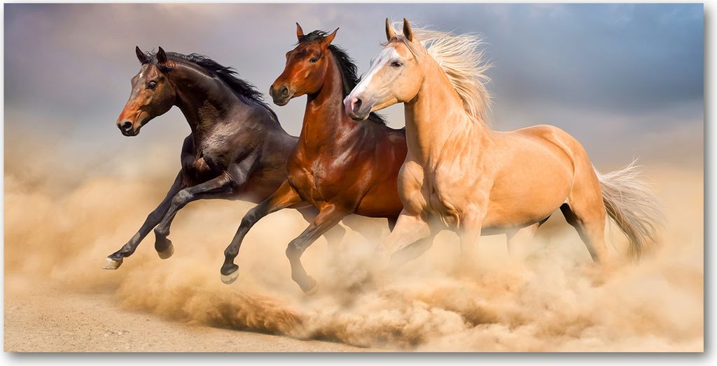 Tulup Glas-Bild - 100x50 -Wandkunst - Wandbild hinter gehärtetem Sicherheitsglas - Tiere - Pferde im Galopp - Beige