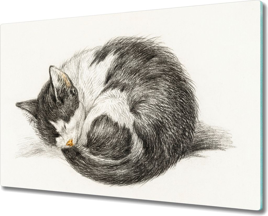 Coloray Hackbrett Küchenbrett Kochplattenabdeckung Schneidebrett Herdabdeckplatte 80x52 cm - Haustier Katze