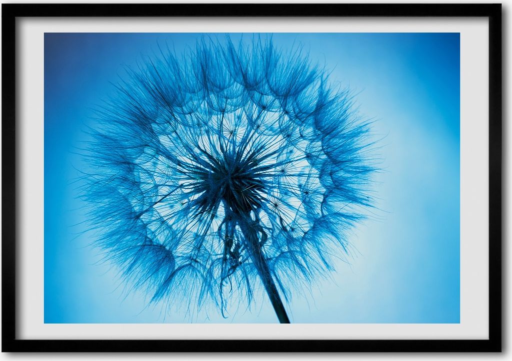 Bild - Bilderrahmen - 100 cm x 70 cm - MDF - Rahmen - Foto - Wandkunst Löwenzahn
