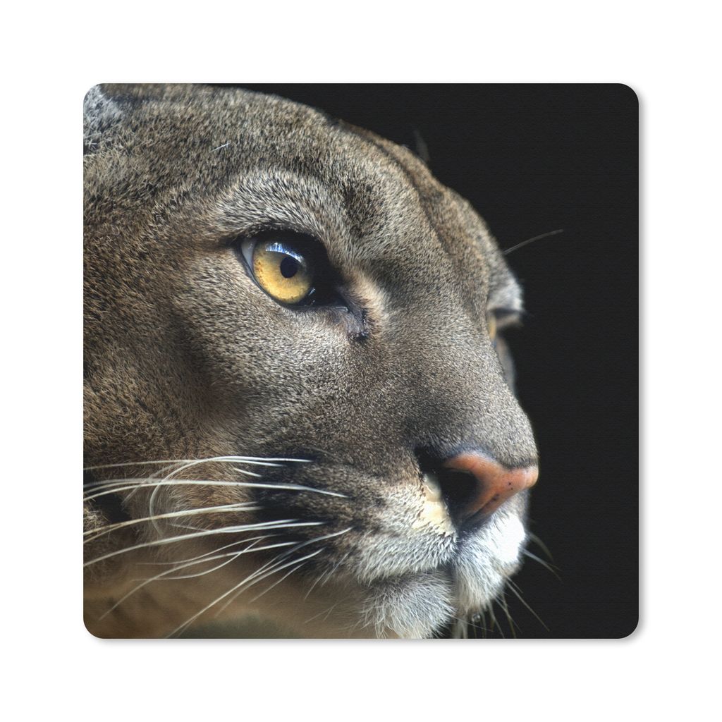 MuchoWow Mauspad Mousepad Cougar - Augen - Schwarz 20x20 cm - Mousepads - Maus Mat - Pad - Mausunterlage - Desk Mat - Bureauartikeln