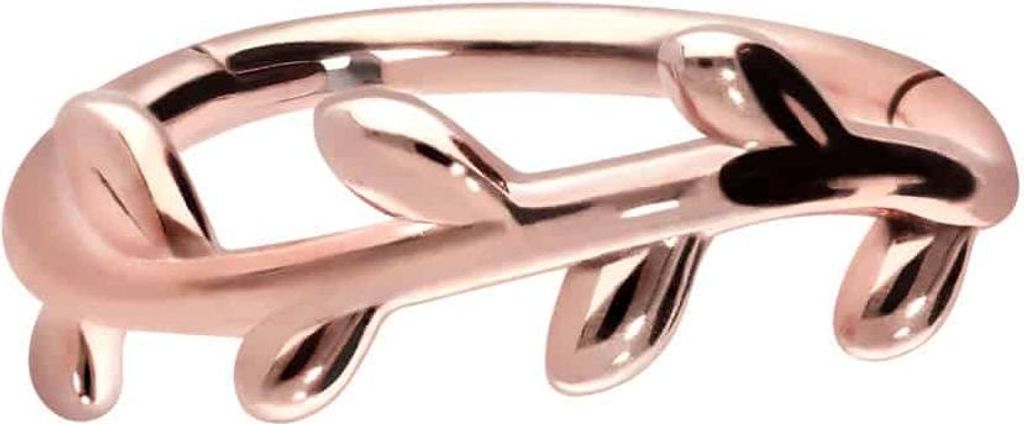Ohrpiercing, Nasenpiercing, Septum Piercing Chirurgenstahl Segmentring Clicker RANKE RoséGold Innendurchmesser: 10 mm