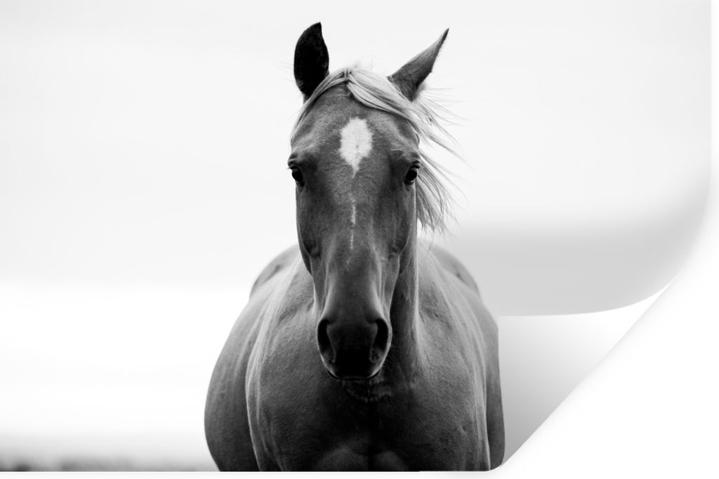 MuchoWow - Wierderverwendbar - Selbstklebend