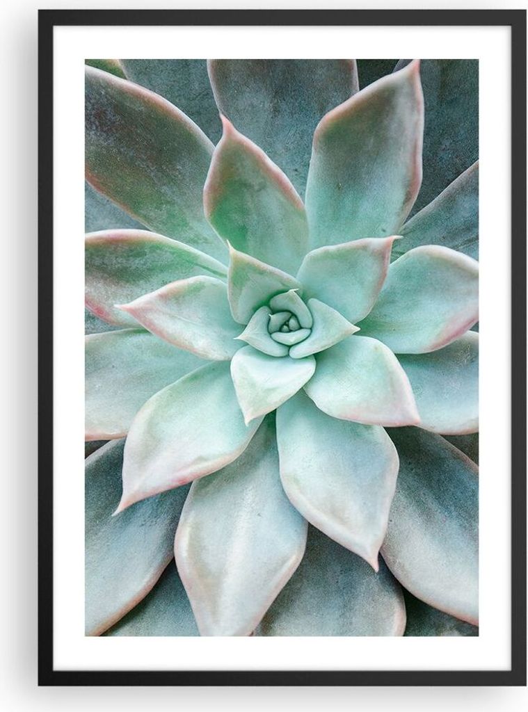 Gerahmtes Poster - Schwarzer Rahmen - Blau Blätter Agave - 50x70 cm - Wand Bild - Wanddeko - Wandbilder - Kunstposter - Wandposter - Bilderrahmen ...