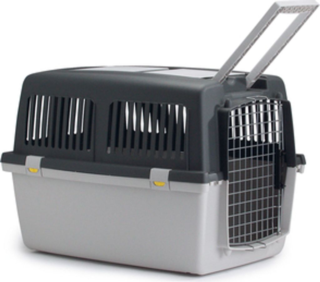 TRIXIE Gulliver, Fester Transportbox, Car pet carrier, Produktbild 
