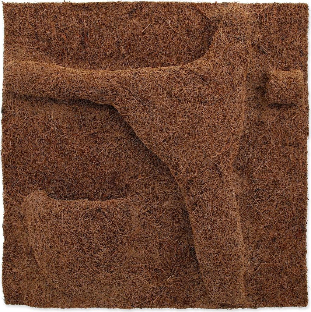 REPTI PLANET tło kokosowe do sadzenia 50x50cm do terrarium Zdjęcie produktu 