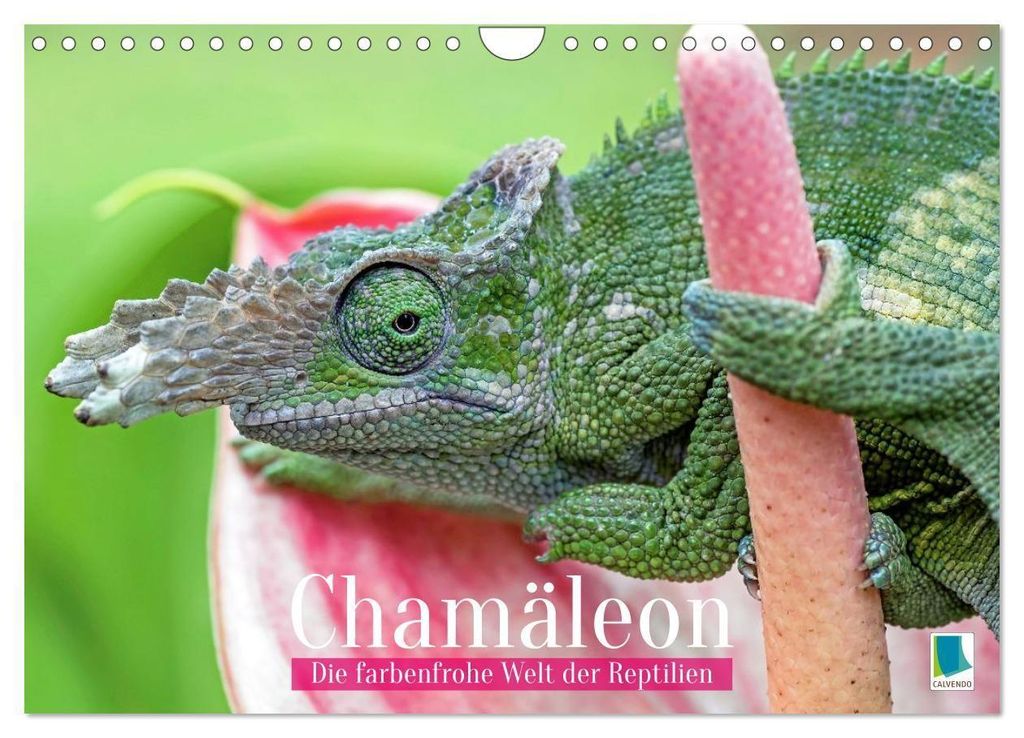 Chamäleon: Die farbenfrohe Welt der Reptilien (Wandkalender 2027 DIN A4 quer), CALVENDO Monatskalender