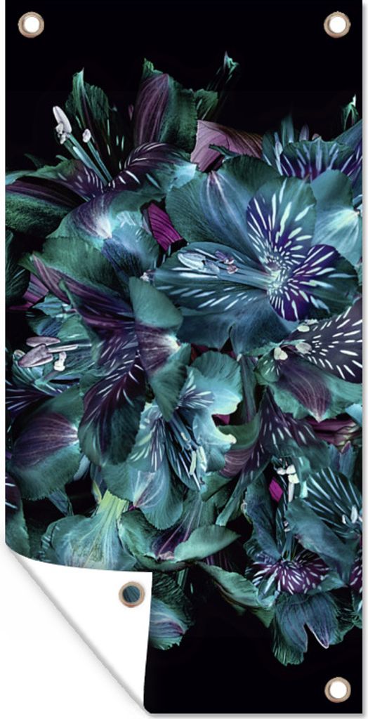MuchoWow 80x160 cm Outdoor-Poster Gartendeko Sichtschutz Garten Poster für den Garten Eine Nahaufnahme von peruanischen Lilien auf schwarzem Hi...