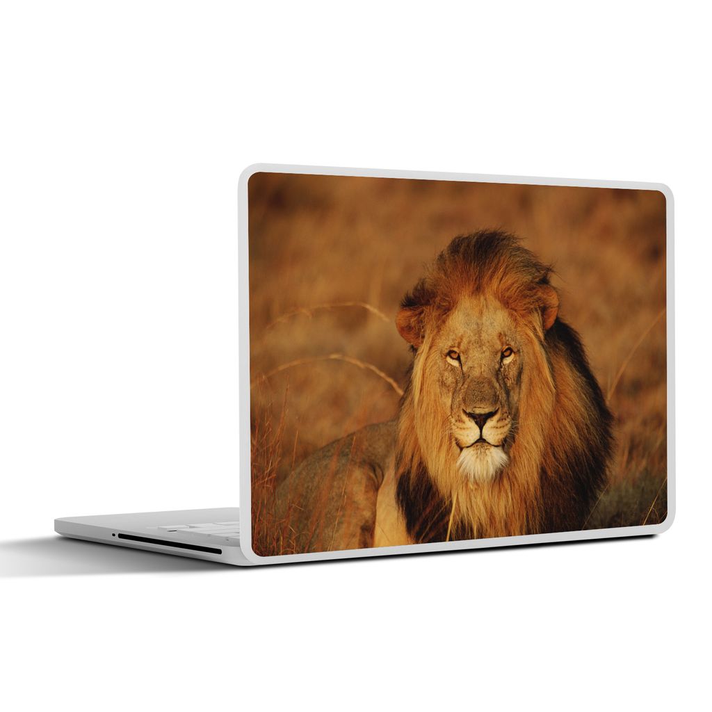 MuchoWow Laptop Aufkleber Sticker Cover Löwe - Porträt - Jagd 32.5x23.5 cm - Sticker für Laptop - Selbstklebend