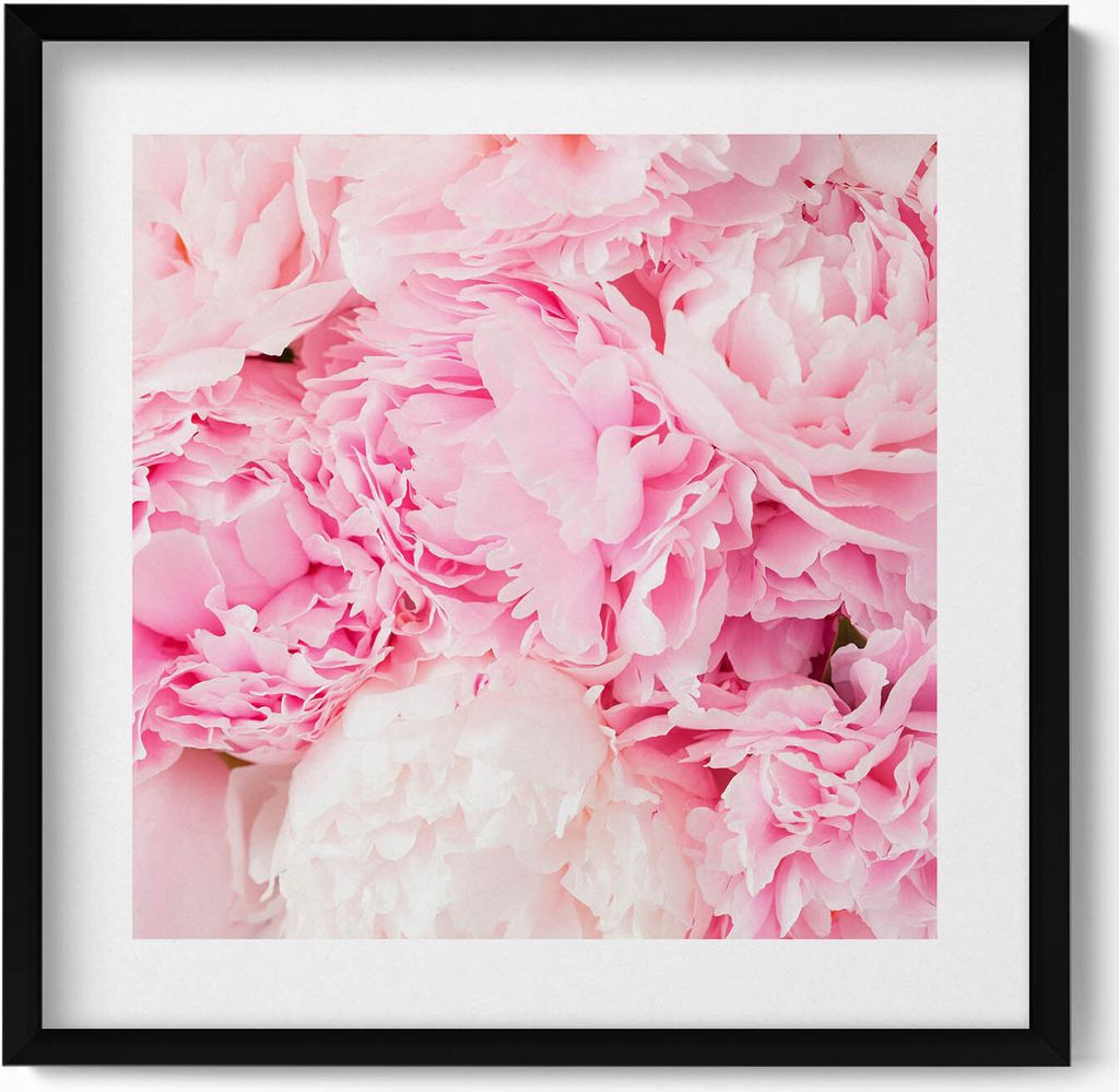 Zarte Pfingstrosenblüten– Wandbild mit Rahmen – Gerahmtes Bild – Wanddekoration – 50x50 cm – Schwarz Rahmen