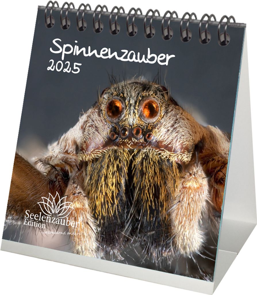 Spinnenzauber Kalender für 2025 Format 10cm x 10cm - Seelenzauber