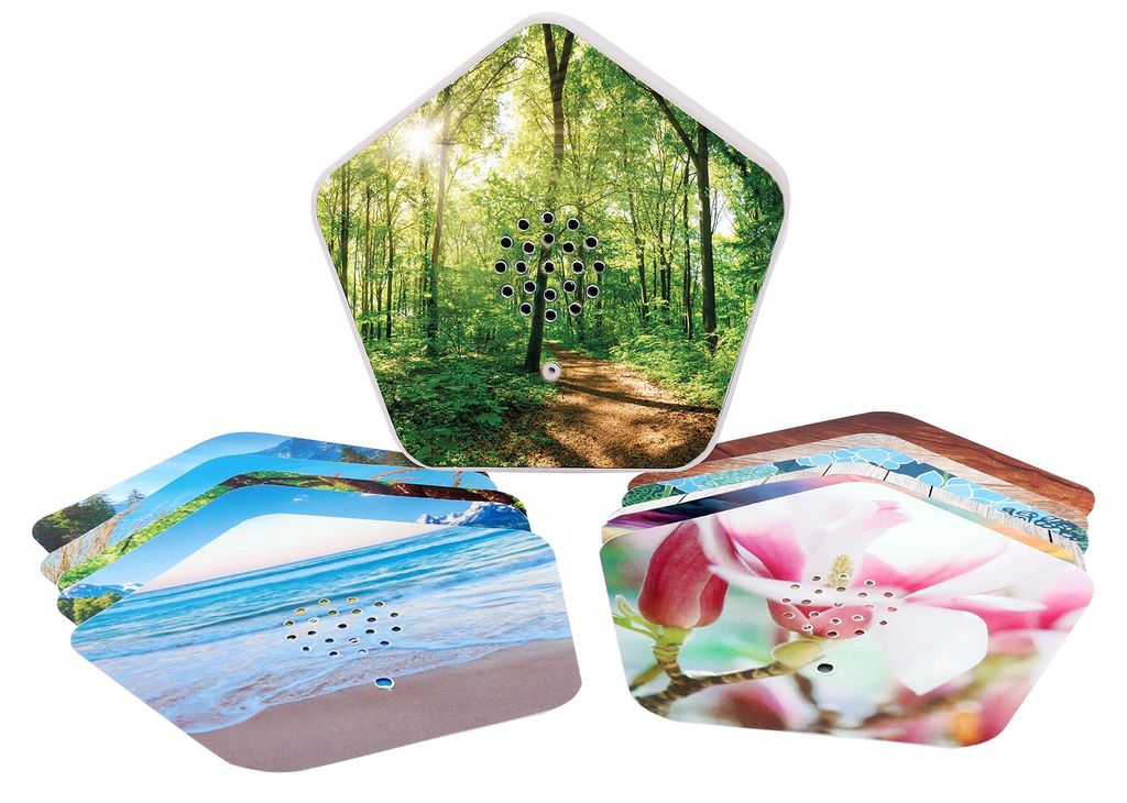 Olympia Nature Box 8001 Tragbarer Lautsprecher  One Size / Produktbild 