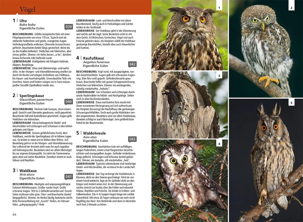 Guide forestier Der Kosmos Waldführer pour identifier la faune - 5