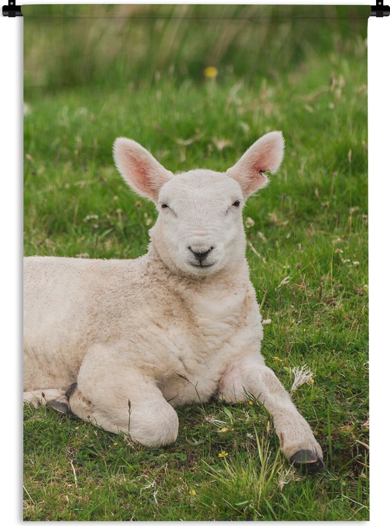 MuchoWow Wandteppich Wandbehang Schafe - Tiere - Lamm 60x90 cm Tapisserie Dekoration Wandtuch - Foto-Teppich - Abwaschbar