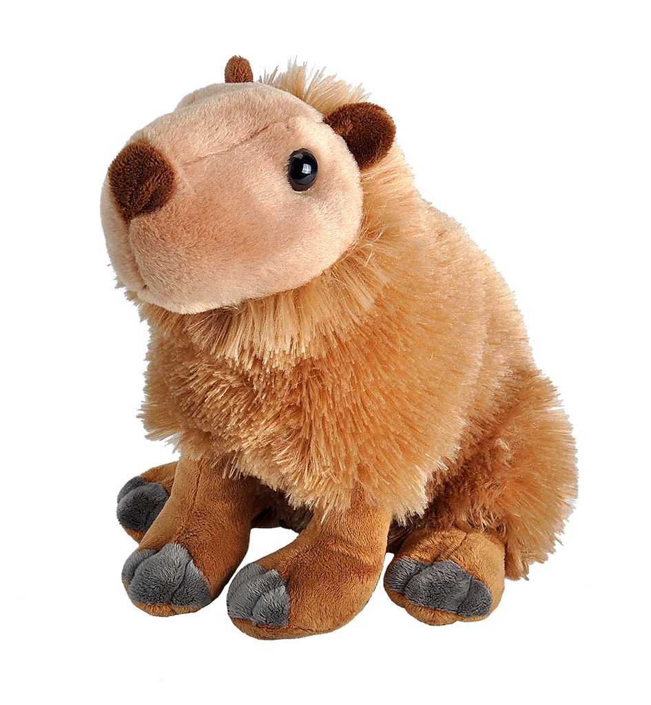 Capybara - Toy Plus Wild Republic 30 cm Produktbild 