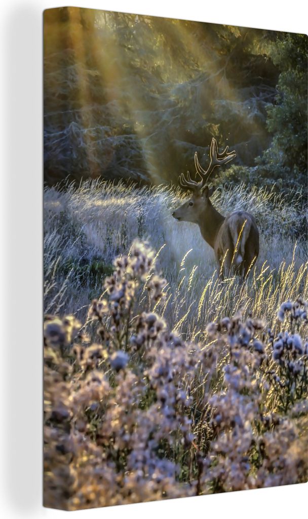 OneMillionCanvasses - Leinwandbilder - 90x140 cm, Elch - Sonne - Winter, Wandbilder Kunstdruck Wanddekoration - Wandschmucke - Schlafzimmer