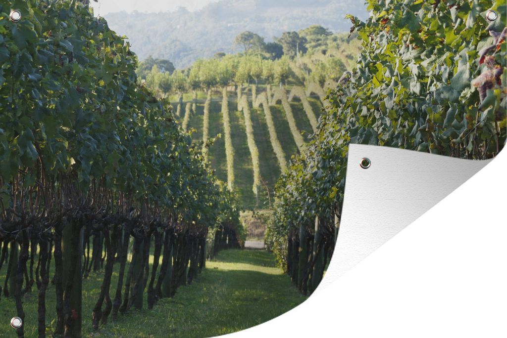 MuchoWow 90x60 cm Outdoor-Poster Gartendeko Sichtschutz Garten Poster für den Garten Weinberg in Brasilien