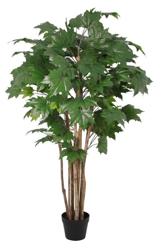 Künstlicher Ahornbaum 150cm im Topf realistische Maple Kunstpflanze Keramiktopf