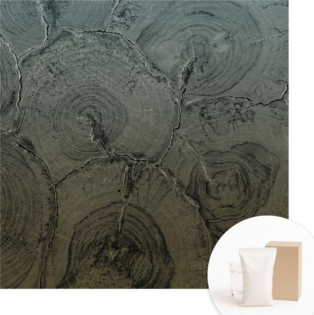 Fototapete - Wandbilder für Wohnzimmer - 250x250 cm - Dekorative Wandfolie - Modernes Design für Wanddekoration - Tapeten für Innenräume - Holz...