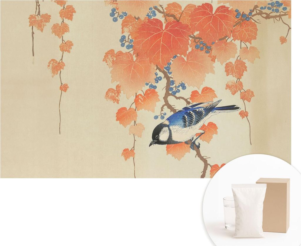 Fototapete - Wandbilder für Wohnzimmer - 416x254 - Dekorative Wandfolie - Modernes Design für Wanddekoration - Tapeten für Innenräume - Weinhar...