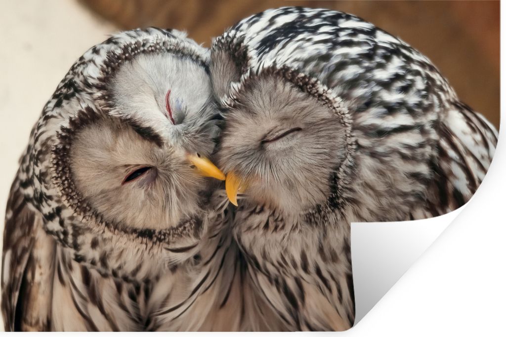 MuchoWow - Selbstklebend - Fototapeten