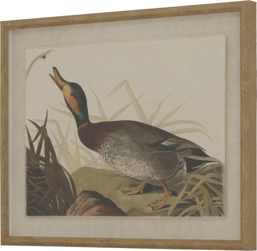 Tableau Coloré Collection Flora & Fauna, Modèle Canard Encadré HI5166